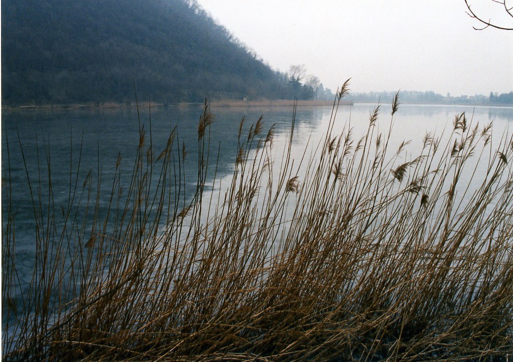 Laghi....della LOMBARDIA